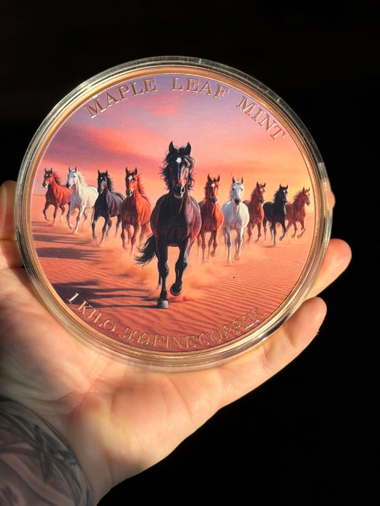 Lunar Of The Horse 2026 - Arabian Stallion