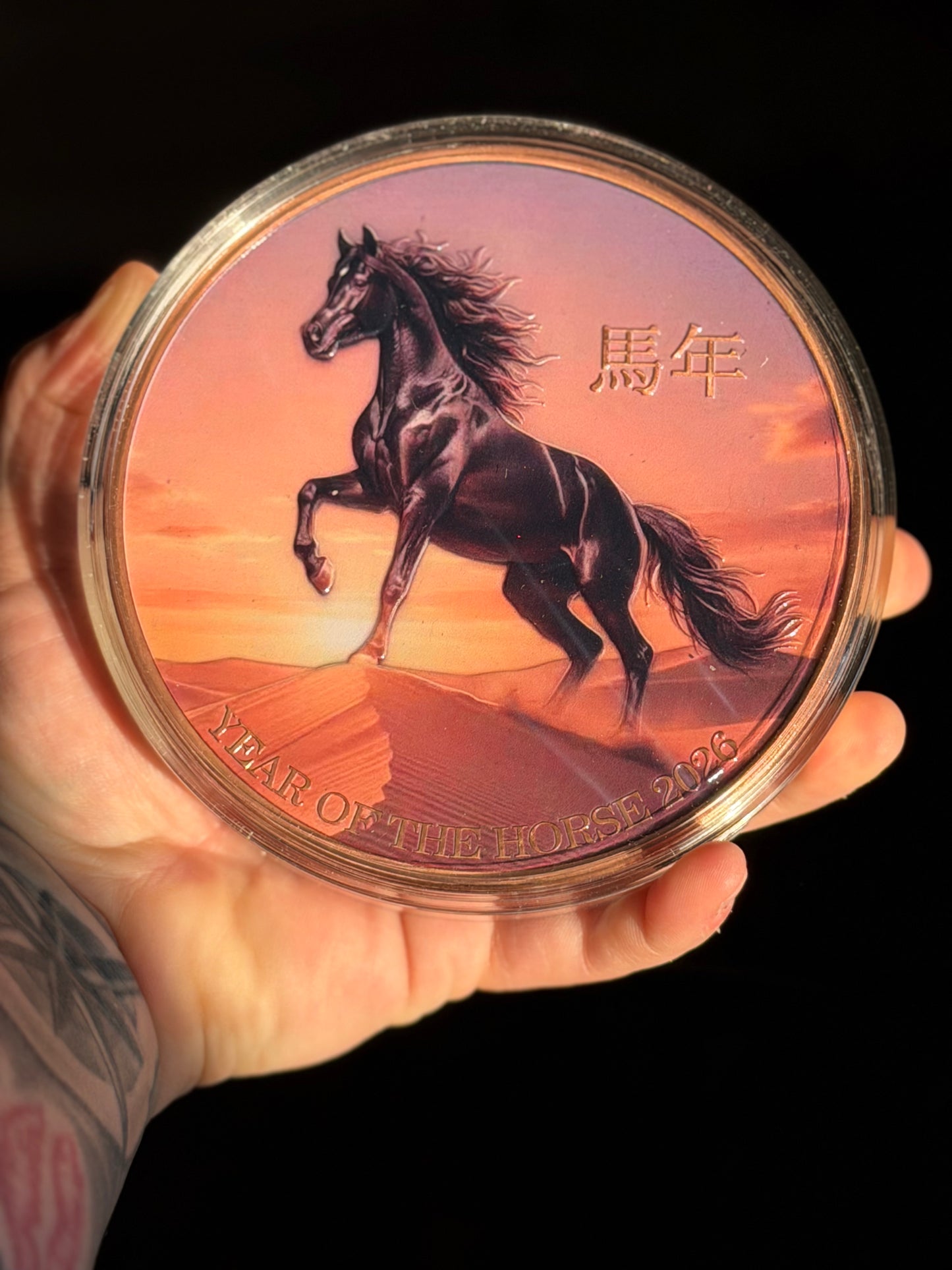 Lunar Of The Horse 2026 - Arabian Stallion