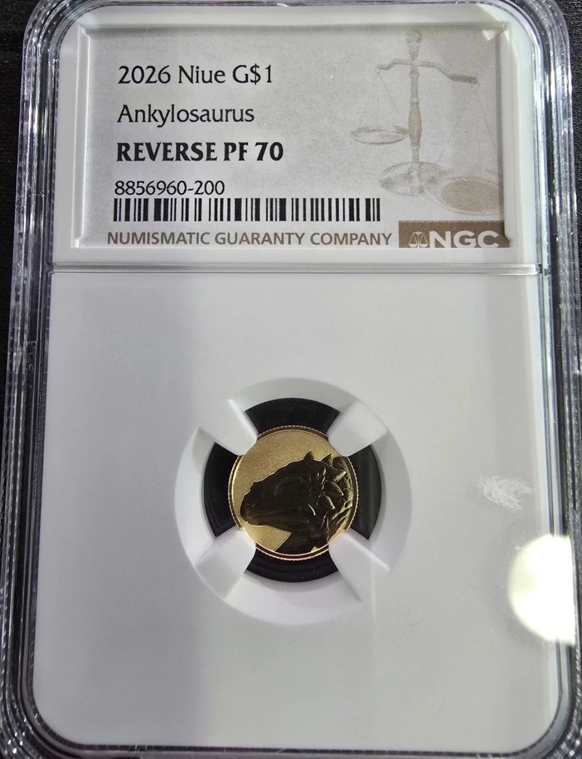 Niue Ankylosaurus 2026, pièce d’or certifiée NGC Reverse PF 70 — recto du slab